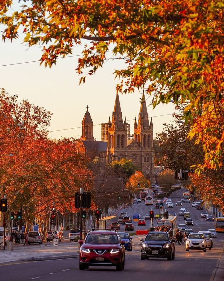 Adelaide City